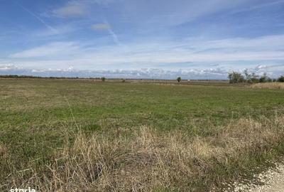 Spațiu comercial, în Nejlovelu - 4