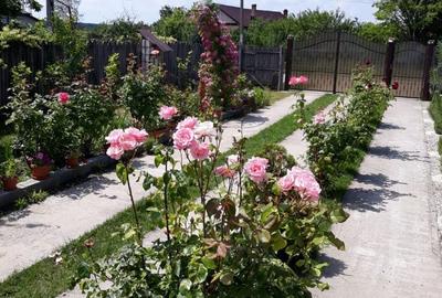 Casă cu 4 camere în Albota - 2