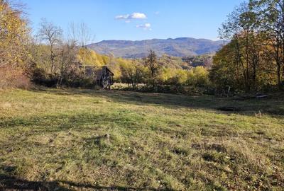 Teren de 949 mp, în Sălătrucel - 12