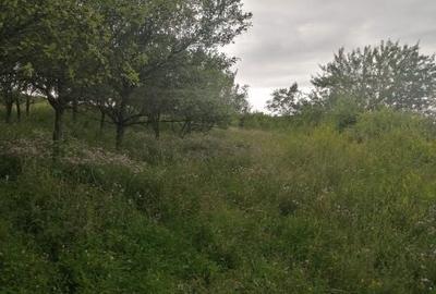 Spațiu comercial, în Central