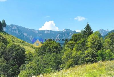 TEREN Izvoru Muntelui, langa orasul BICAZ - 9