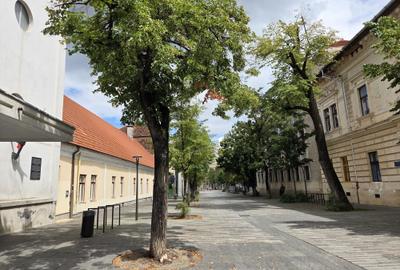 Apartament spectaculos  de vânzare în Palatul Teleki – Clădire monument  istoric - 14
