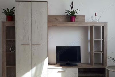 Garsoniera in Vasile Aron - 8