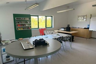 Proprietate Industriala 7000 mp hala in Calea Sagului Timisoara - 12