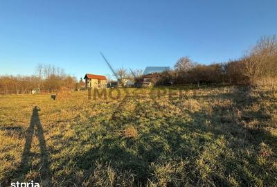 Casă cu 2 camere cu Teren 3200 Mp în Borșa - 1
