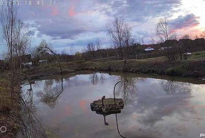 Casă cu 4 camere în Ineu - 5