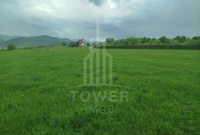 Teren de vinzare in Tropini Vechi - 7