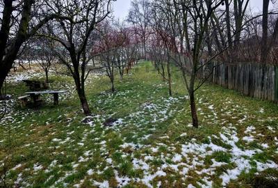 Teren Construcții intravilan de 4516 mp, în Doina - 34