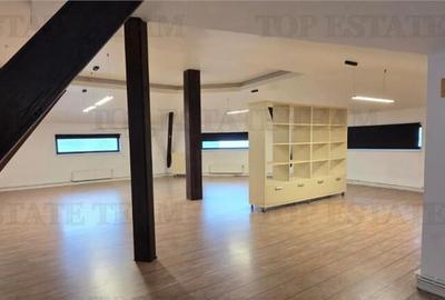 Casa individuala de zona Domenii - 11