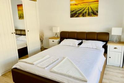 Apartament modern 2 camere cu vedere superba spre lacul Snagov - 14