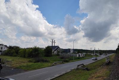 Teren de vanzare aproape de Muzeul Satului Banatean Giarmata Vii - 7