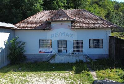 Spatiu comercial si casa de vanzare in Furnicosi. - 2