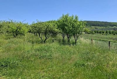 Teren agricol extravilan de 1400 mp, în Vâlcele - 1
