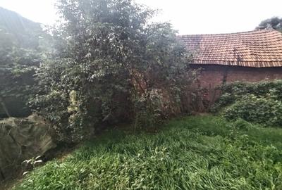 Casa individuala Tauti, teren 650mp - 3