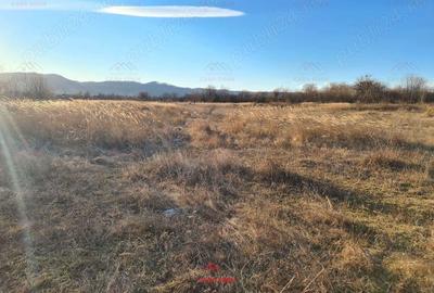 Teren intravilan in Banesti-- 5000mp--26e - 7