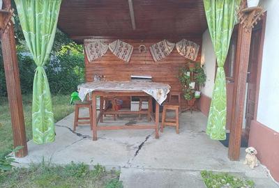 Casă cu 3 camere cu Teren 5740 Mp în Central - 2