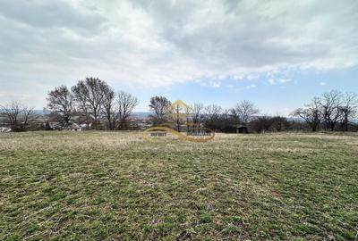 Teren Construcții intravilan de 11021 mp, în Blăgești - 1