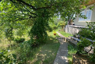 Teren 1000 mp si casa 75 mp - 3