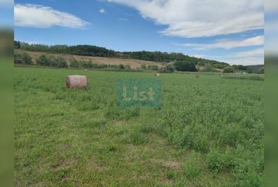 Teren agricol intravilan de 22400 mp, în Fundătura - 3