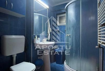 Apartament cu 2 camere semidecomandat, mobilat în Buziașului - 2