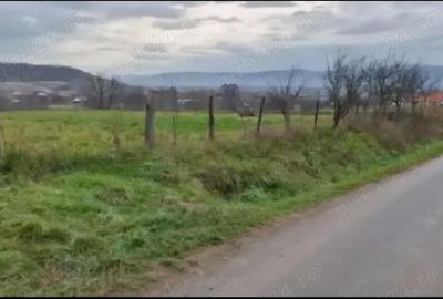 Teren de 3100 mp, în Lugașu de Sus - 1
