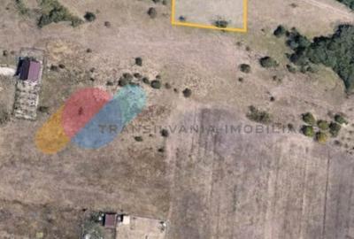 Teren Construcții intravilan de 2019 mp, în Dâmbul Rotund - 3