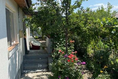 Casa de vanzare ! Casa de vanzare ! - 2