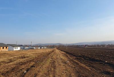Teren de 1624 mp, în Holboca - 1