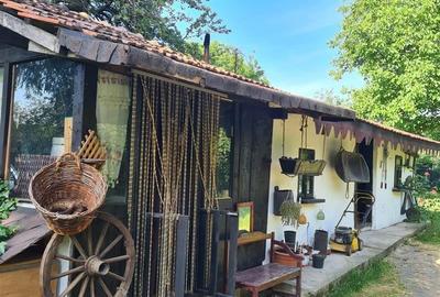 Casa cu Teren Buciumi 7  km de Onesti cu teren 1800 mp - 4
