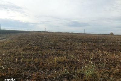 Teren de 5000 mp, în Lunca - 3