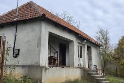 Casă cu 2 camere în Târnăvița - 3