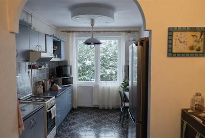 2 camere decomandate,mobilat,utilat,aer conditionat,2 balcoane, Cornisa,Targu Mu - 2