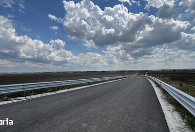 Teren de 142629 mp, în Tunari - 5