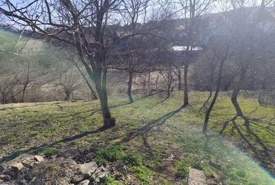 Casă cu 3 camere în Liteni - 2