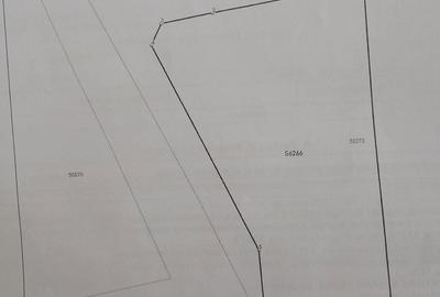 Spațiu comercial, în Albești - 3