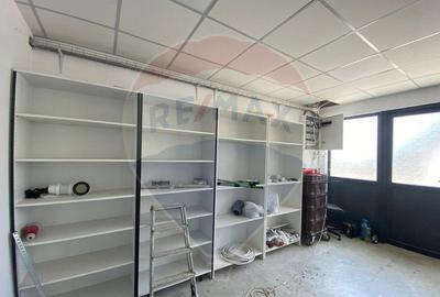 Teren cu hala, Bucsani, Crevedia / DN 61 (A1, A0) 40 Km ... - 12