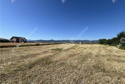 Teren extravilan de 10400 mp cu 2 deschideri in Cristian zona Serelor - 3