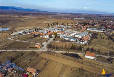 In areal linistit, acces facil, 120.000mp teren extravilan, - 6