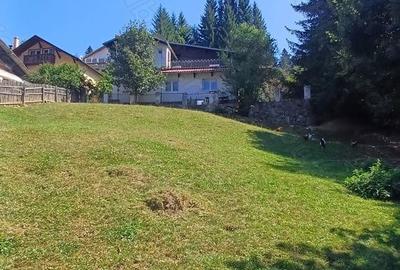 Teren în Poiana Țapului - 5