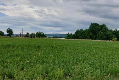 Teren agricol intravilan de 4800 mp, în Târgu Trotuș - 1