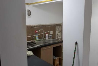 Colentina Parcul Plumbuita, Sector 2 București. - 6