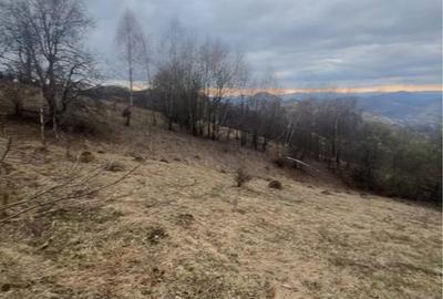 Teren de 3600 mp, în Exterior Vest - 3