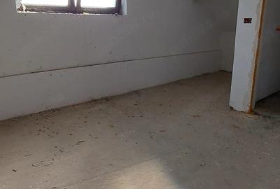 Casă cu 6 camere cu Teren 1800 Mp în Dudeștii Noi - 6