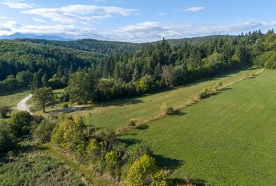 Teren intravilan 3300mp- Vulcan Brasov langa Lac si padure - zona turistica - 4