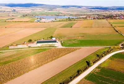 FILM! Zona extinsa, teren mixt,18.000 mp, ideal agro-investitii, Rotbav, Brasov - 3