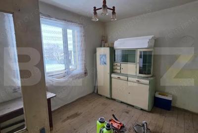 Casa cu teren 32 ari Viile Tecii, la 30 km de Bistri?a - 20