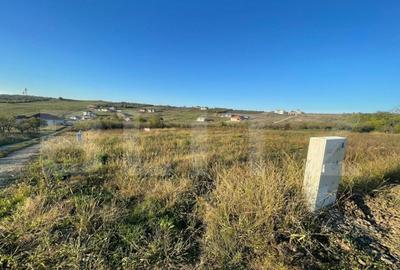 Anun? Vanzare Parcele - 630 mp fiecare Saldabagiu de Munte Anun? Vanzare Parcele - 630 mp fiecare Saldabagiu de Munte - 2