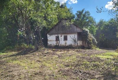Casa de vanzare in Bihor - comuna Abram - 1