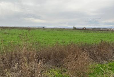 Teren de vânzare în Focșani - 1