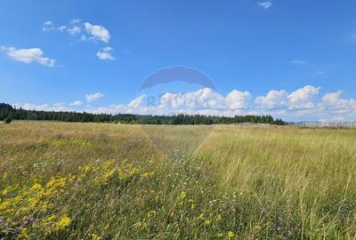 Teren partial intravilan 30,930 mp Poiana Stampei-DN E58, Suceava - 19